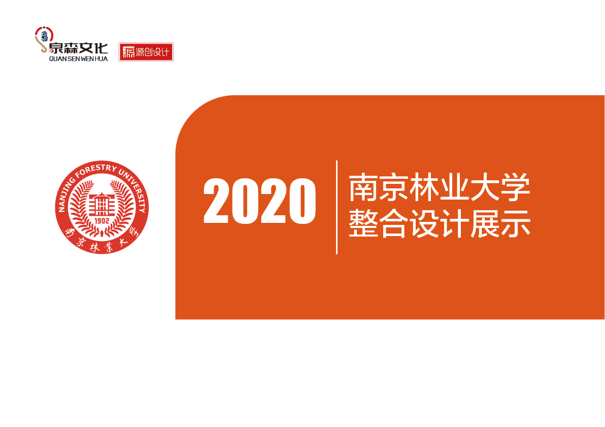 2020设计案例-网页-01.jpg